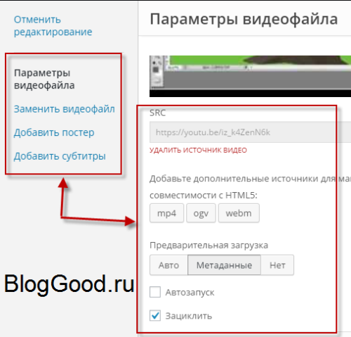 Как вставить видео на WordPress
